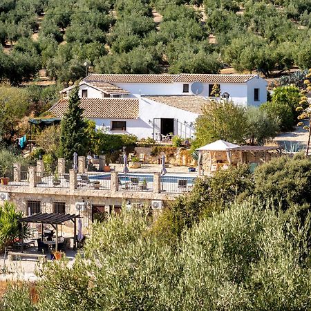 Hacienda La Buena Vida B&B En Appartementen Casita La Bruja Algarinejo Rom bilde