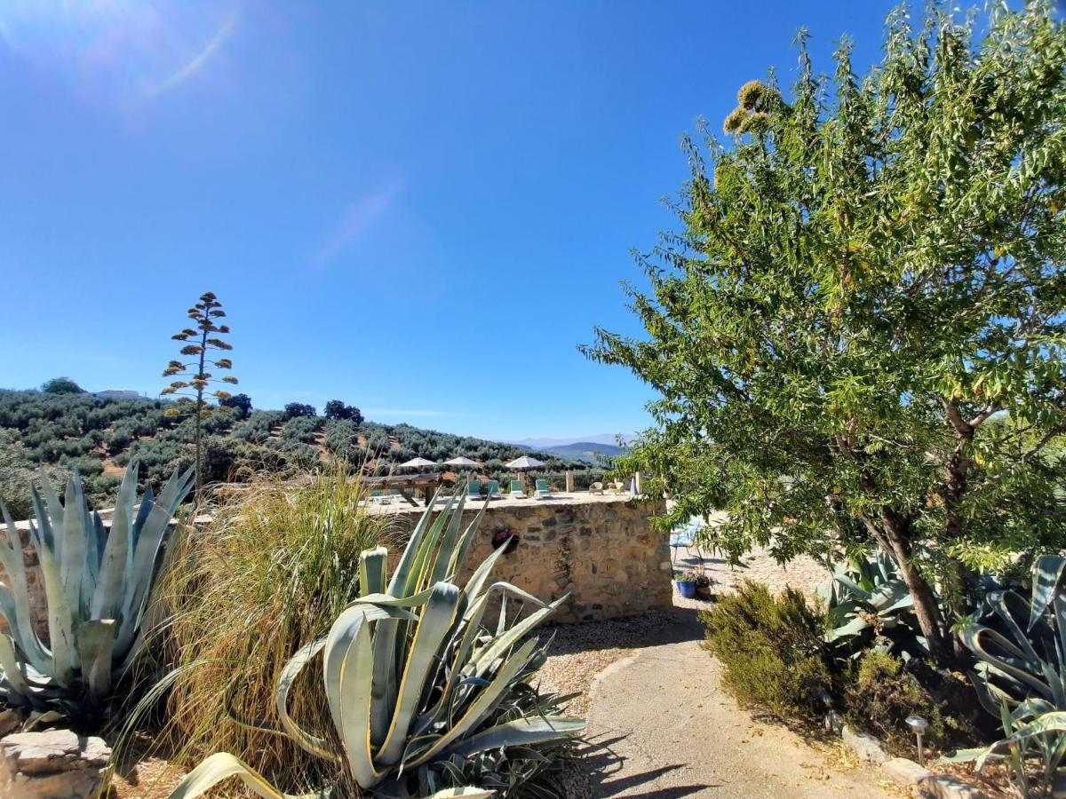 Hacienda La Buena Vida B&B En Appartementen Casita La Bruja Algarinejo Eksteriør bilde