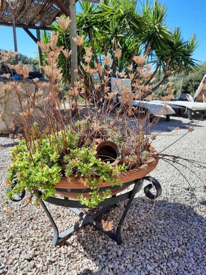 Hacienda La Buena Vida B&B En Appartementen Casita La Bruja Algarinejo Eksteriør bilde
