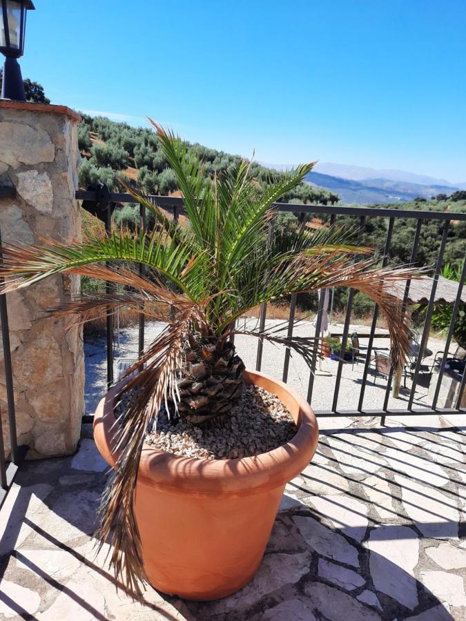 Hacienda La Buena Vida B&B En Appartementen Casita La Bruja Algarinejo Eksteriør bilde