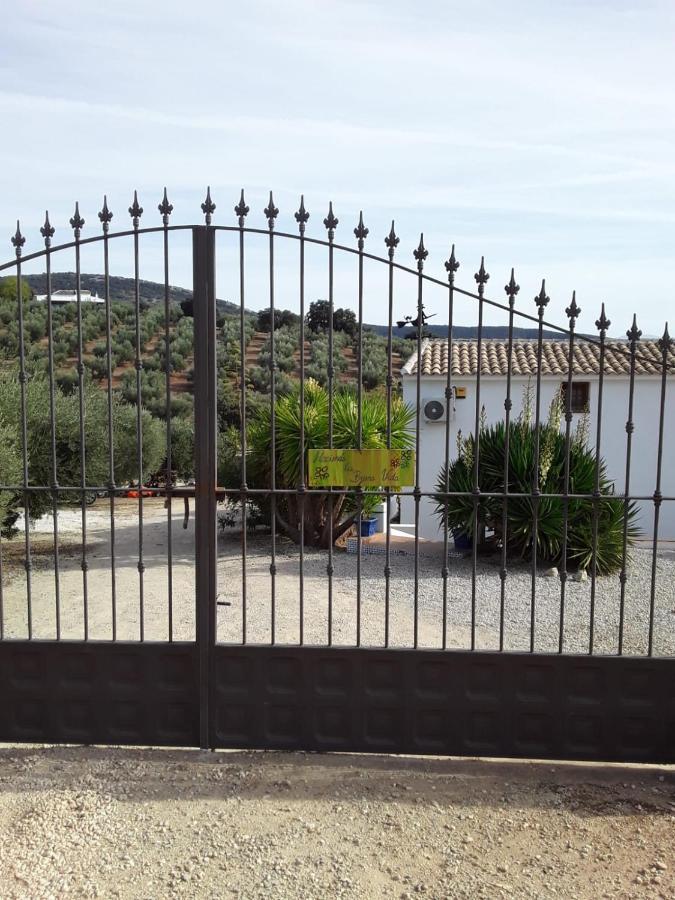 Hacienda La Buena Vida B&B En Appartementen Casita La Bruja Algarinejo Eksteriør bilde