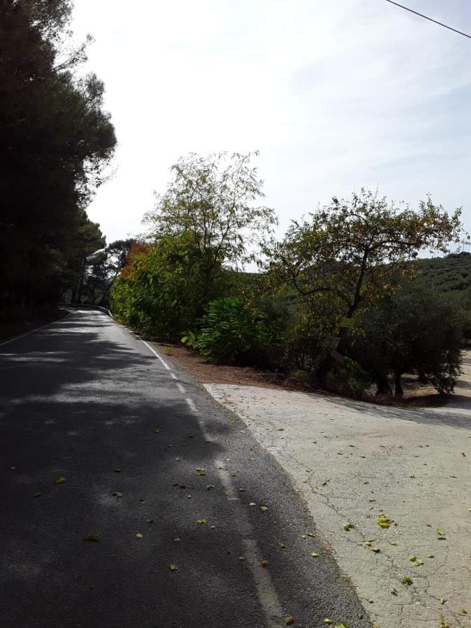 Hacienda La Buena Vida B&B En Appartementen Casita La Bruja Algarinejo Eksteriør bilde