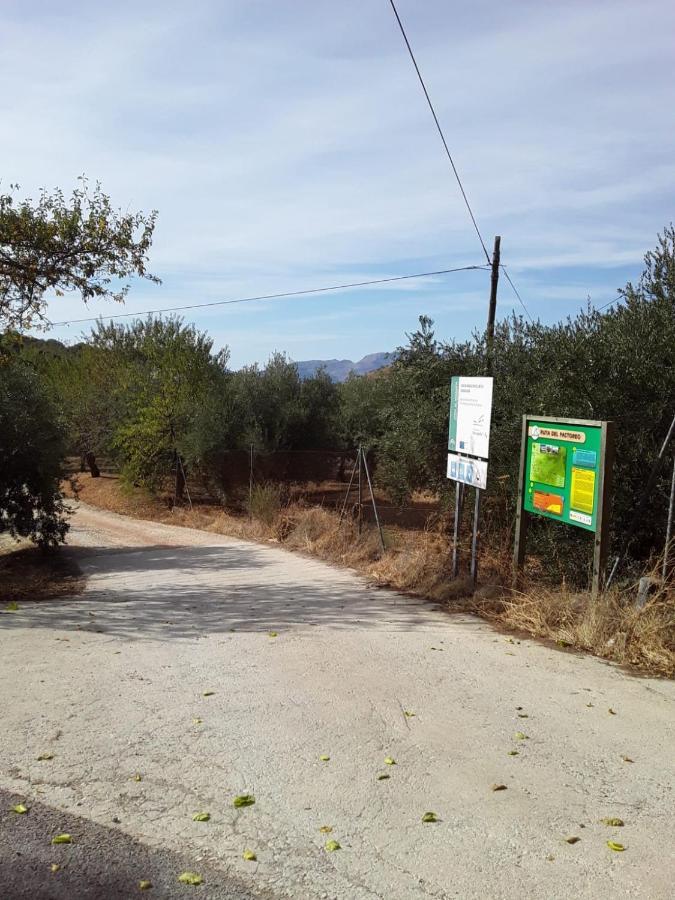 Hacienda La Buena Vida B&B En Appartementen Casita La Bruja Algarinejo Eksteriør bilde