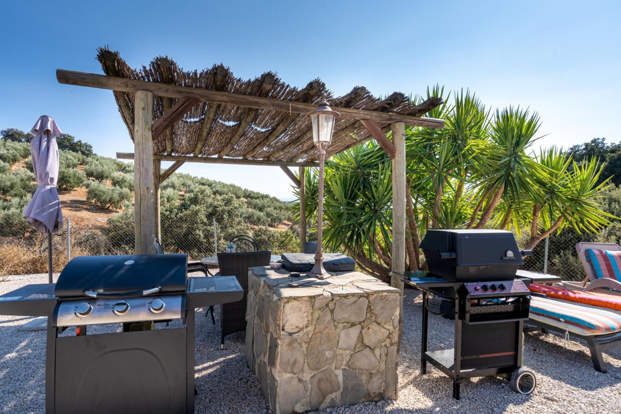 Hacienda La Buena Vida B&B En Appartementen Casita La Bruja Algarinejo Rom bilde